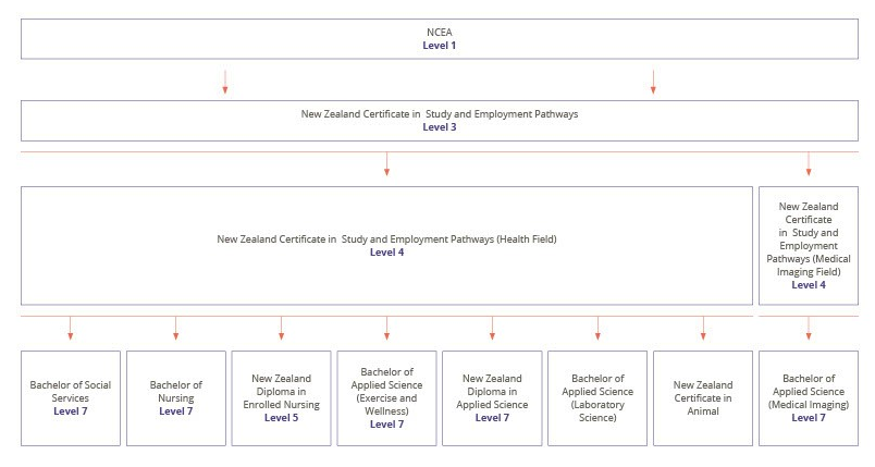 Pathways Graph.png